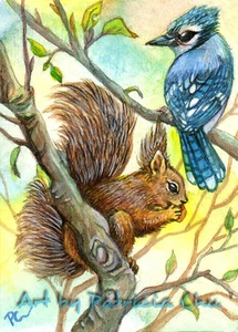 ACEO LE Art Card Print 2.5x3.5" " Blue Jay And Squirrel " Animal Art by Patricia - Foto 1 di 1