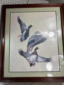 Mallards Guy Coach gerahmt Vintage Offset Lithographie Ente Kunst MUSS NEU GESTALTET WERDEN - Bild 1 von 7