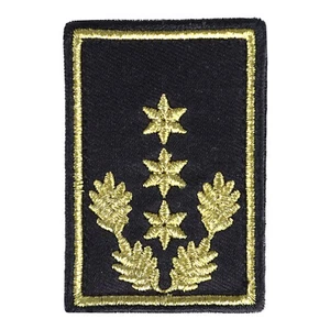 Insignia de servicio 3 estrellas oro + hojas de roble + pelado - Imagen 1 de 1