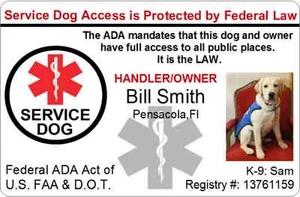 SERVIZIO PERSONALIZZATO CANE/ANIMALE DOMESTICO CARTA D'IDENTITÀ BADGE ID PER SERVIZIO ANIMALE PROFESSIONALE PVC 21 - Foto 1 di 3