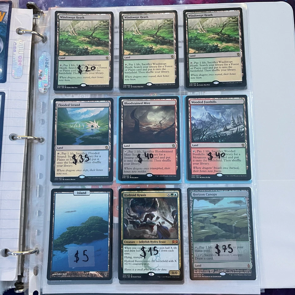 Magic the gathering Island Windswept Flooded Bloodstained Wooded Horizon Canopy - Image 1 of 1