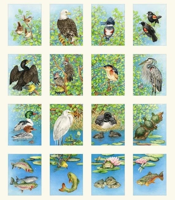 Freshwater Wildlife 24" panel by Elizabeth's Studio, 4328Cream,  Pelican, Eagle - Image 1 of 1