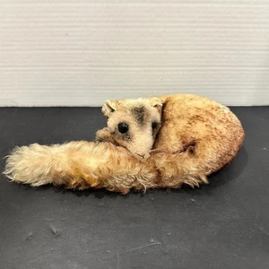 Vintage 1950s Steiff Ferret Mohair Plush Stuffed Animal Germany 12" - Picture 1 of 9