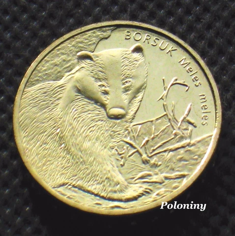 COMMEMORATIVE COIN OF POLAND - ANIMALS OF THE WORLD BADGER - BORSUK (MINT) Cover