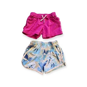 Girl Shorts Lot Of 2 Toddler 4 Floral And Pink Stretch Pull On Shorts - Picture 1 of 6