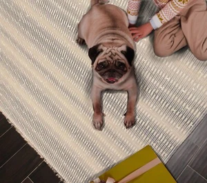 GLAM INDUSTRIAL 6' x 9' Hand Knotted 100% Wool Area rug Gray Beige, Ivory - Picture 1 of 9