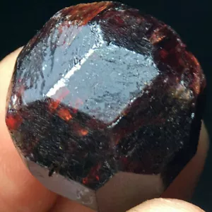Muestra mineral áspera de piedras preciosas de cristal granate piropo rojo natural 50 g - Imagen 1 de 12