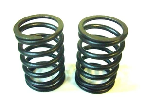  Valve Springs2 Harbor Freight LIFAN LF182FD LF188FD LF190FD Intake & Exhaust b - Imagen 1 de 4