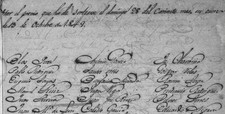 Juana Diaz, Puerto Rico Genealogy Census/Censo c.1848-1849
