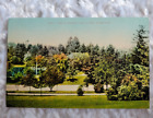 vintage postcard washington state view in wrights park tacoma 1638