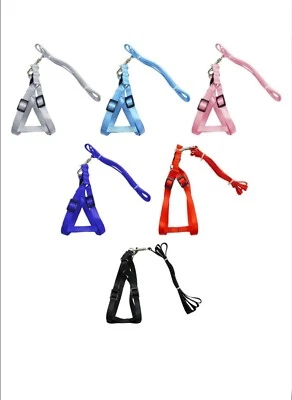xs dog harness and leash set - Image 1 of 4