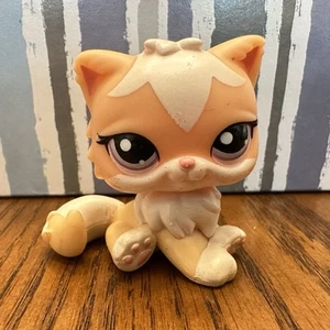 Littlest Pet Shop Hasbro LPS Figure Cat 1657 - Picture 1 of 7