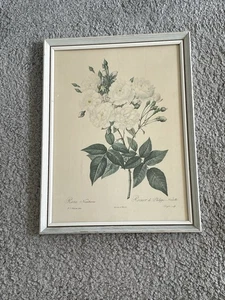 VINTAGE OLD ORIGINAL FRAMED AND GLAZED PRINT ROSES FLOWERS PIERRE JOSEPH REDOUTE - Picture 1 of 4