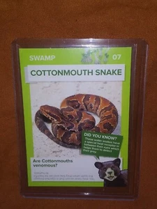 Winn Dixie GO WILD Trading Card Cotten Mouth - Bild 1 von 1