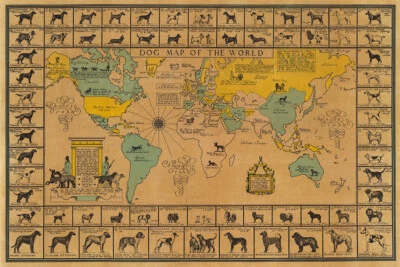 Dog Map Of The World 1933 Vintage Dog Breeds Wall Art Home - POSTER 20"x30" - Image 1 of 3