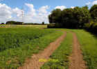 Photo 6X4 Farm Track East Of Low Moor Farm Bossall This Is Typical Scener C2011