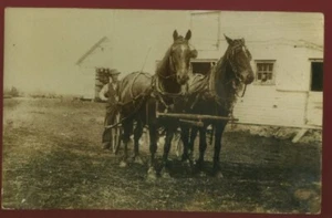 STORM LAKE IA VINTAGE RPPC JIM BULICH TEAM OF HORSES REAL PHOTO POSTCARD 081621 - Picture 1 of 3