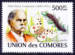 Comoros 2008 MNH, Butterflies Henry Comstock Entomology & arachnology - Picture 1 of 1