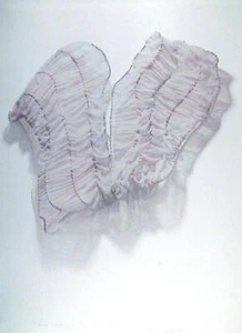 Anne Healy, Uncle Wigglely's Sky Blue Pink, Lithograph, signed and numbered in p - Picture 1 of 3