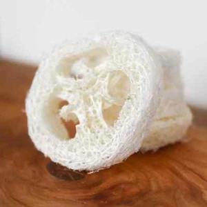 Loofah Single Piece | Loofah Slice/Soap Riser - Picture 1 of 5