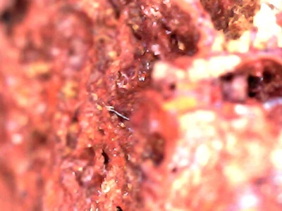 Minerali: Argento Nativo e Cuprite prov. ex Miniera di Libiola (GE) Liguria - Immagine 1 di 4