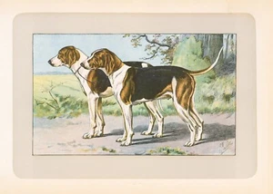 1907 Chromolithograph by Paul Mahler "Les Batards du Haut-Poitou" - Picture 1 of 3