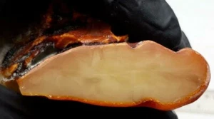Colgante Ámbar Crudo Pulido Lateral Piedras Bálticas Natural 87 g Amarillo Blanco Real - Imagen 1 de 10