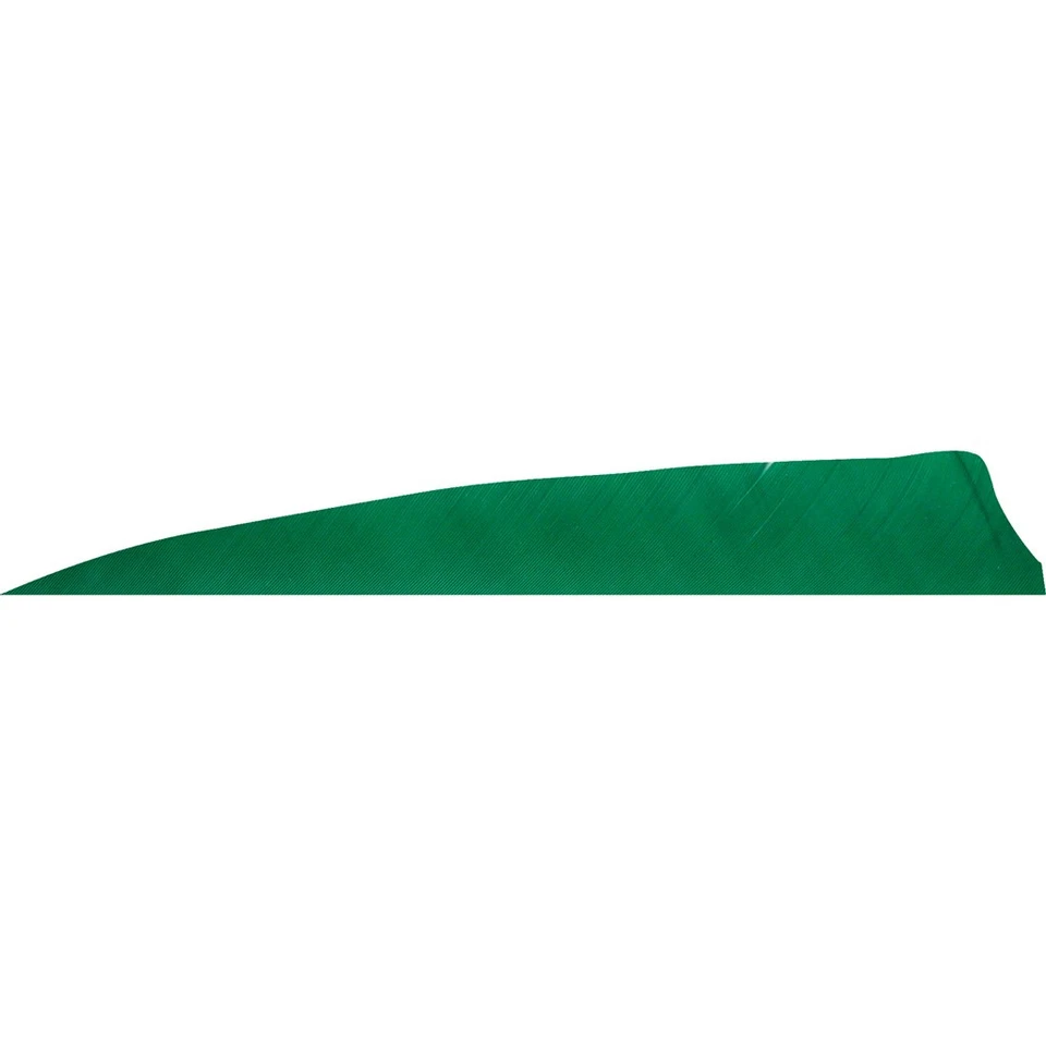 🎯 Plumas de corte de escudo Gateway verde 4 pulgadas LW 50 pk. Foto 1 de 1