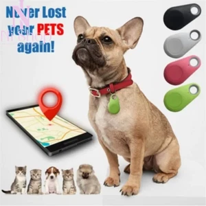 Mini GPS Tracker Dog Pet Tag Smart Finder Locator Key Tracking Tracer Waterproof - Picture 1 of 18
