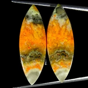 Par de piedras preciosas sueltas cabujón marquesa jaspe abejorro natural 19,50 quilates 10x29x4 - Imagen 1 de 5