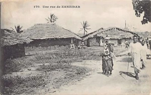 Tanzania - ZANZIBAR - A street - Publ. Messageries Maritimes 170 - Picture 1 of 2