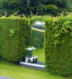 Garden acrylic safety mirror Acrylic Safety Outdoor Mirrors 4mm Acrylic Safety - Picture 1 of 2