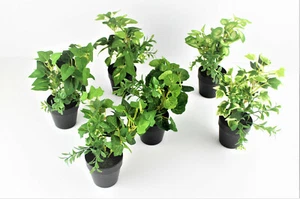 6 Arten künstliche Pflanze Deko blütenpflanze im Topf Kunstpflanzen Deko ca.20cm - Bild 1 von 25