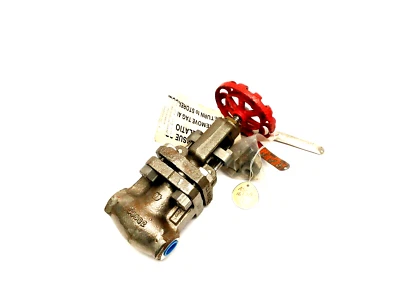 Crane-Aloyco 16138 1/2" Stainless Steel Globe Valve 300 CF8M N1RT 2314A-SP 34692 - Image 1 of 4