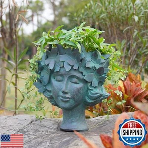 Face-Planter Succulent Head-Planter Flower Pot - Garden Plant Pot with Draina - Picture 1 of 5