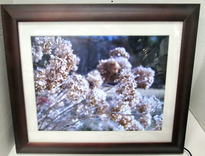 Excellent ViewSonic 15" Digital Picture Frame, VFM1536-11 - Image 1 of 4