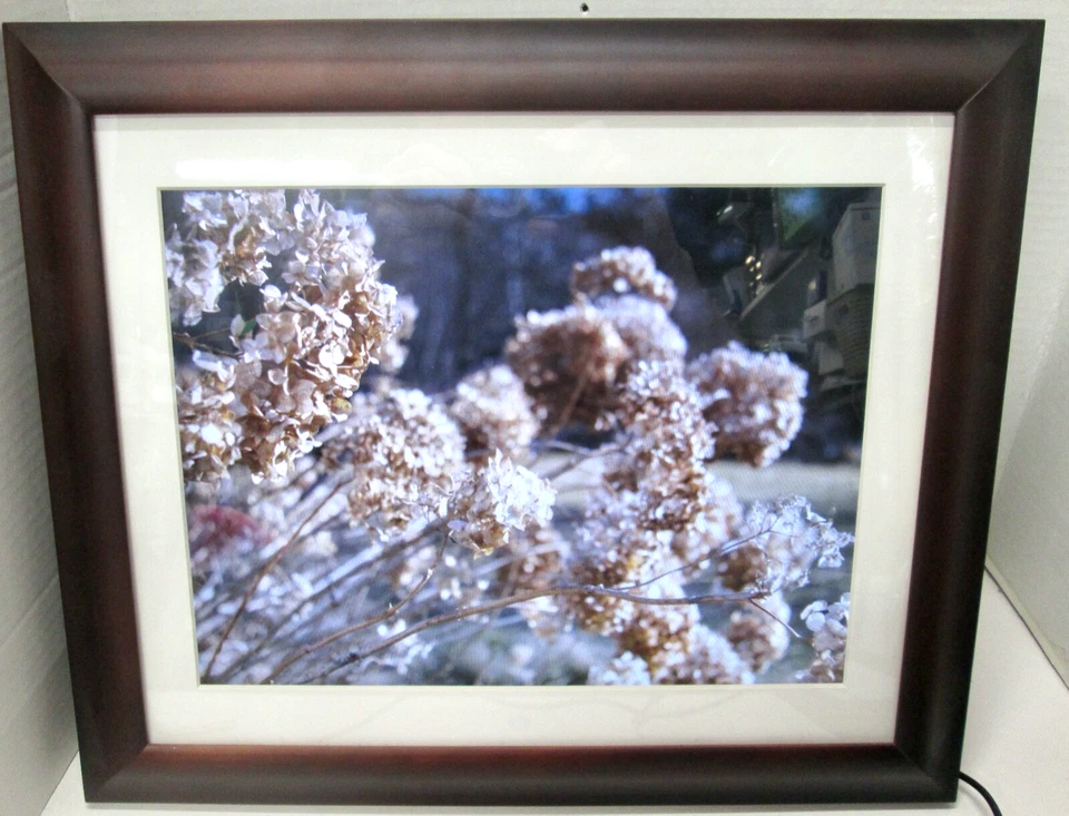 Excellent ViewSonic 15" Digital Picture Frame, VFM1536-11 - Image 1 of 4