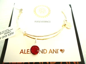 Alex and Ani JANUARY SCARLET Color Code Shiny Silver Bangle New W/Tag Card & Box - Picture 1 of 4