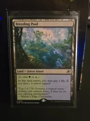 Piscina de cría borde de eternidades regular Foto 1 de 2