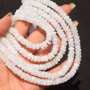 Authentic 899 Cts Natural 5 Strand Moonstone Round Shape Beads Necklace SK20E518