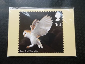 Birds of Prey ROYAL MAIL PHQ cards 2003 - Sealed - Picture 1 of 4