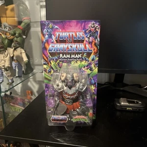 MOTU x TMNT Origins - Turtles of Grayskull (Pick One) - Picture 1 of 4