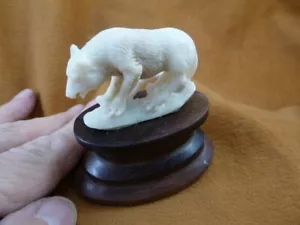 (tb-bin-7) Binturong Bearcat Nutria Muskrat TAGUA NUT palm figurine Bali love - Picture 1 of 2