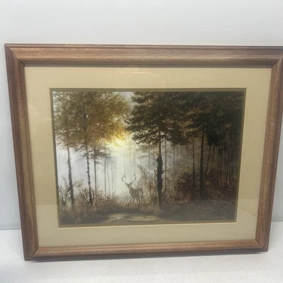 Gerald Colson Art «Тихий лес» печать матовая рама 18 1/2 дюйма X 22 1/2 дюйма - Изображение 1 из 4