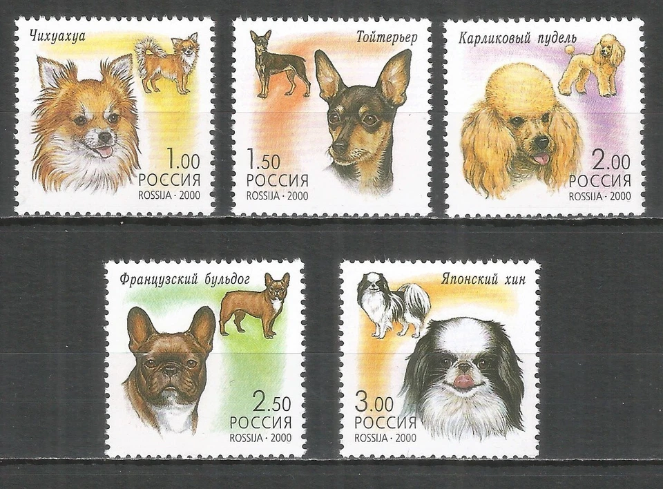 Russia 2000 mint MNH stamps dogs - Image 1 of 1
