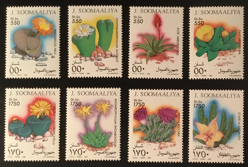 Somalia - 1995 Juego de cactus MNH Foto 1 de 1