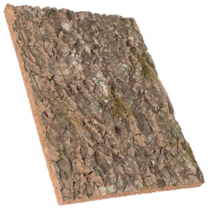 Background Cork Bark For Reptiles Reptile Bark Reptile Photo Friends - Picture 1 of 12