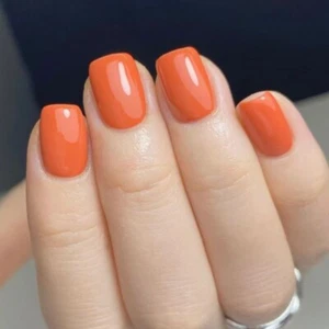 on Nail Full Cover False Nail Acrylic Glues on Nail Nudes Press on Nail - Picture 1 of 8