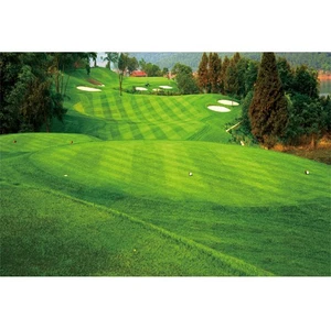 DORCEV 10x8ft Golf Course Background for Photography, Green Grass Spring Scen... - Picture 1 of 4