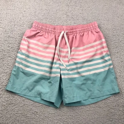 Chubbies On The Horizons Swim Trunk Mens L Pink/Blue Striped Lined 5.5" Shorts - Image 1 of 4